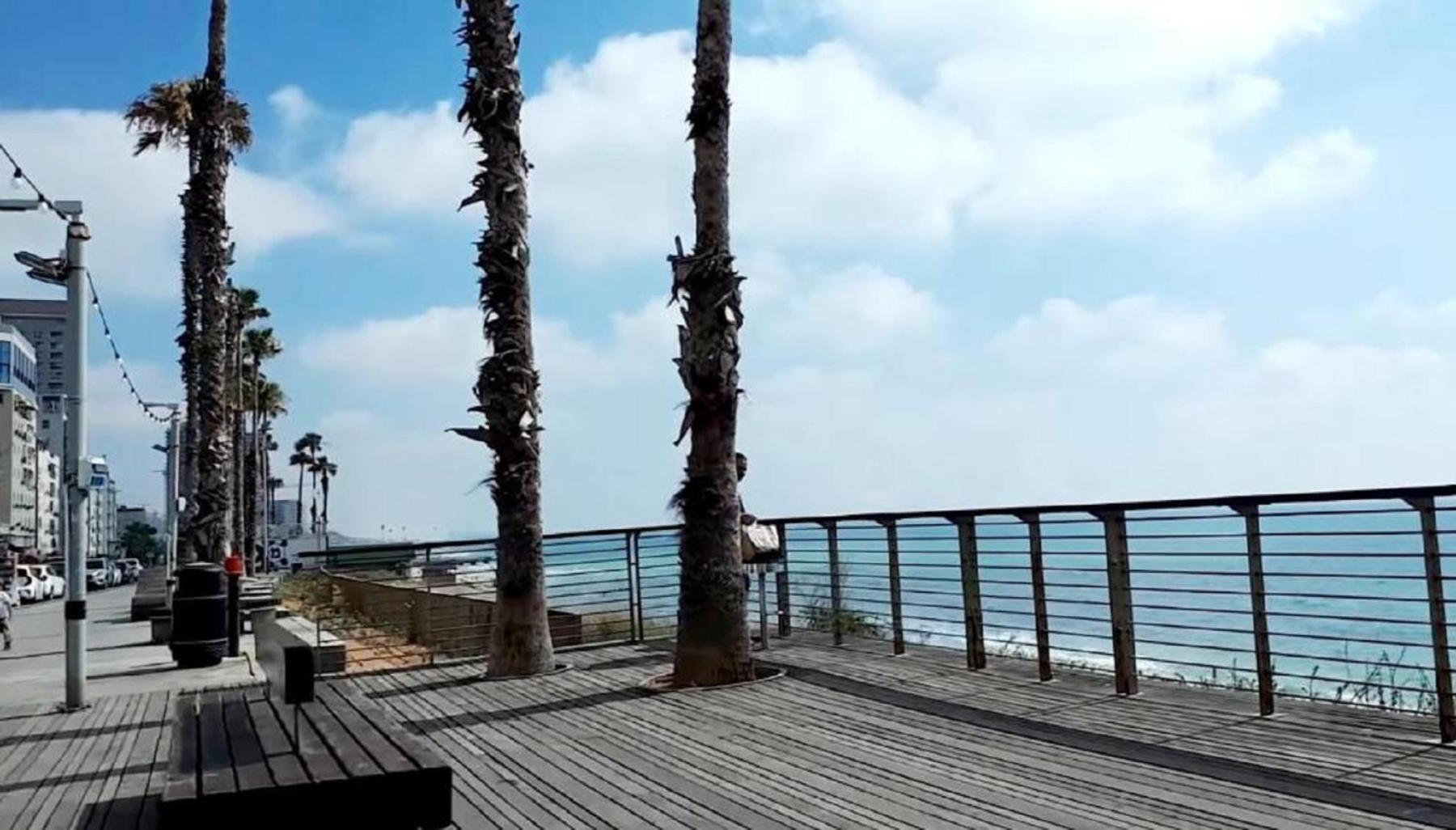Spat Beach Bat Jam Zewnętrze zdjęcie